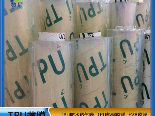 廠家直銷 TPU片材全透明薄膜 TPU卷材功能性薄膜 免費取樣