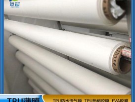 TPU聚酯環(huán)保防水高透濕薄膜厚0.03mm功能薄膜生產(chǎn)廠(chǎng)家免費(fèi)拿樣